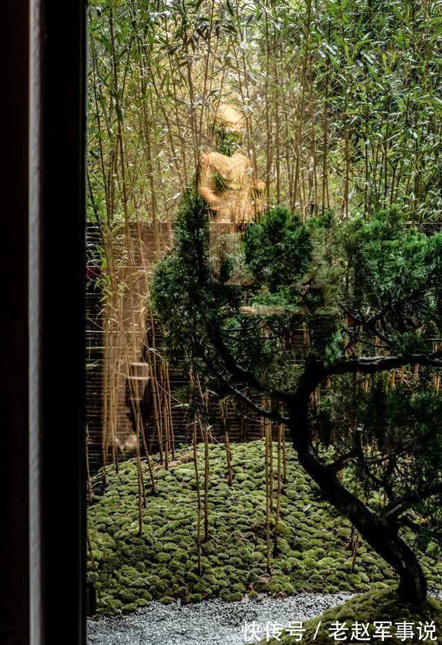 前庭|不顾妻子反对,他坚持买1层楼房,128㎡赠送60㎡庭院,装修后太美