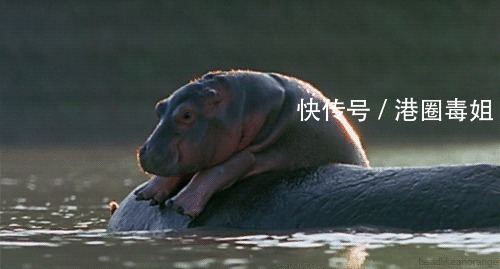 |10个幽默小笑话,开心一笑