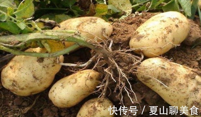 冷饮|女人到中年,容易长肚子,建议多吃点碱性食物,肚腩悄悄不见