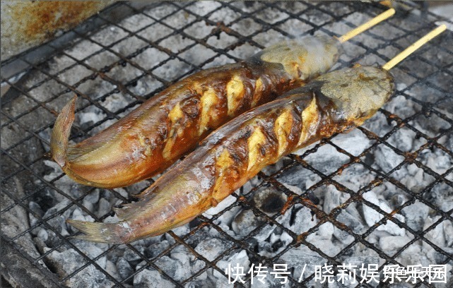 珠江“大鲶鱼”,被钓鱼人频频钓起!能不能吃?钓友:数数胡须的数量