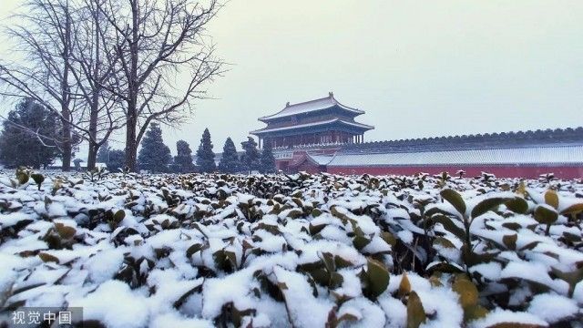 虎年|虎年北京第一场雪！冰墩墩也去故宫拍照啦！
