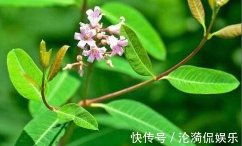 血管|起床后有以下3种表现,说明你的血管已经开始堵塞了,必须重视