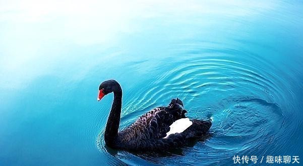 内向的人|最终获得成功的人,都是被人忽视的“内向”孤独者