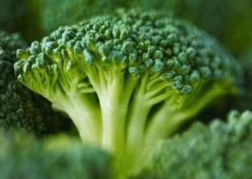 4物|4物是子宫肌瘤的“死对头”，每天坚持吃，或助你活血化瘀消肌瘤