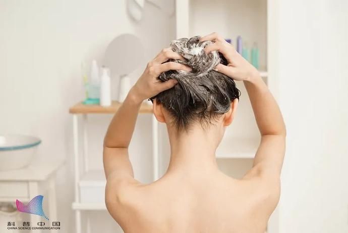 头发，多久洗一次最好？早上洗好还是晚上洗好？