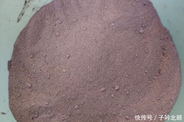 石子|花盆不用买,河边捡堆小石头,做成漂亮的小花盆,养花好有韵味!