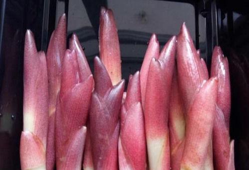 每天晚上多吃三种食物,营养丰富、改善体质,好处多多