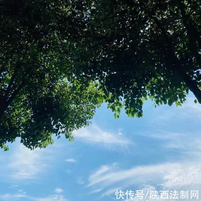 美好的生活|在石泉!这样度过一天，定让你不负初夏好时光