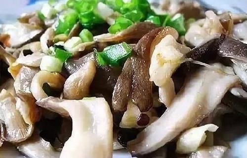 补脑|隔三差五,孩子吃的“鲜香菜”,好吃不贵营养高,补钙补脑促发育