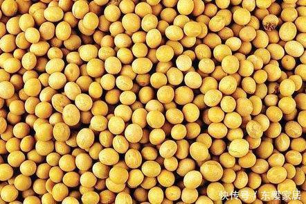 到底|这么多的养花技巧,到底哪个能用