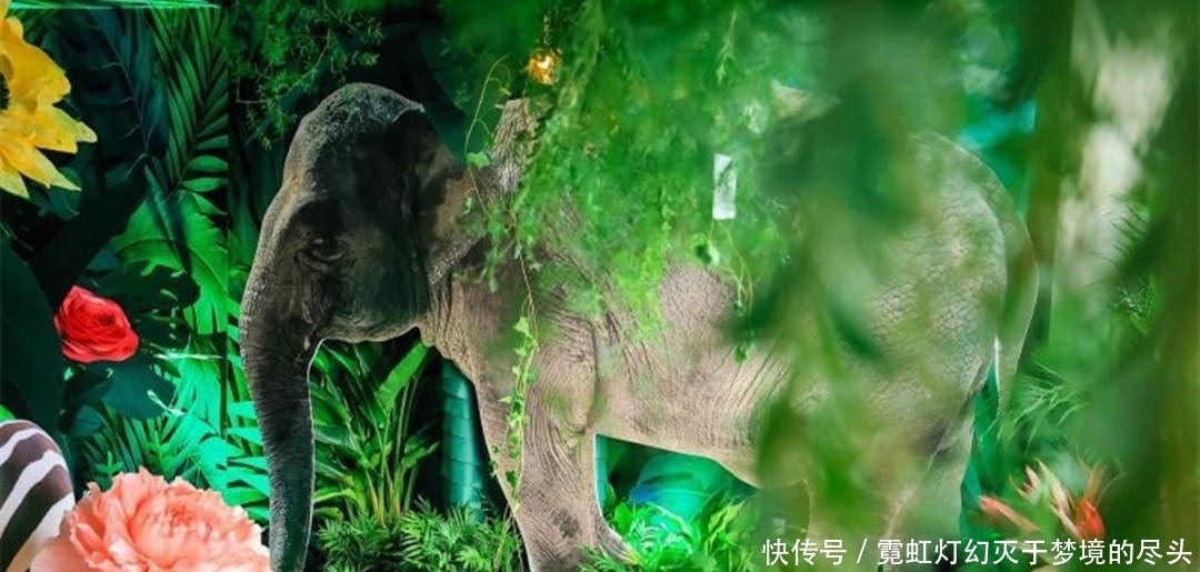 高像素|加持高像素只为解析力?vivo S7丛林秘境展对样张细节的要求更严苛