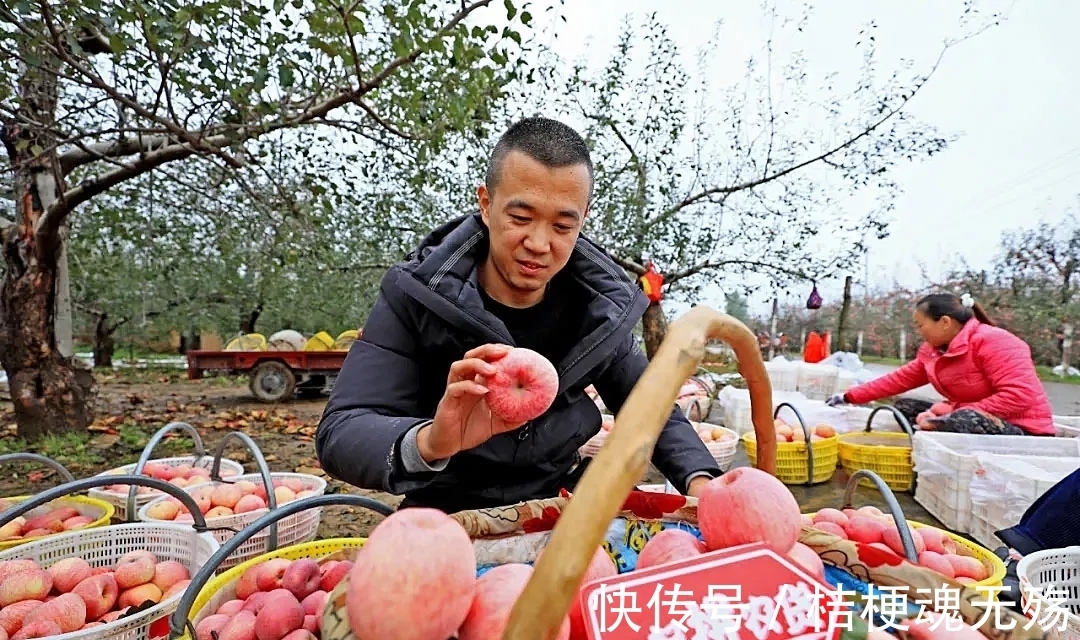 q3|100亿重仓农业,拼多多的逻辑变了