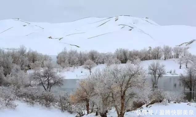 新疆|新疆，雪后的沙漠惊艳全国！