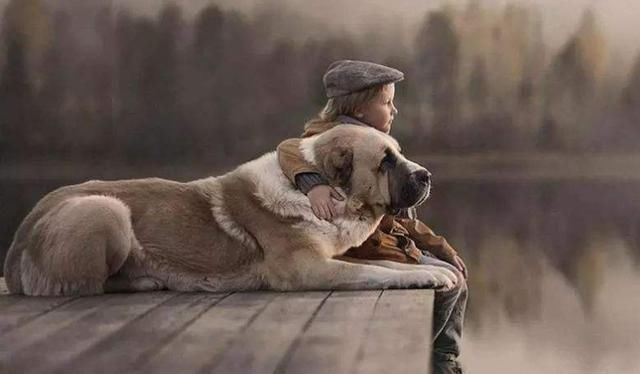 仓鼠|5岁女孩在公交车上,“恶心”行为引全车人不满,被妈妈带坏了