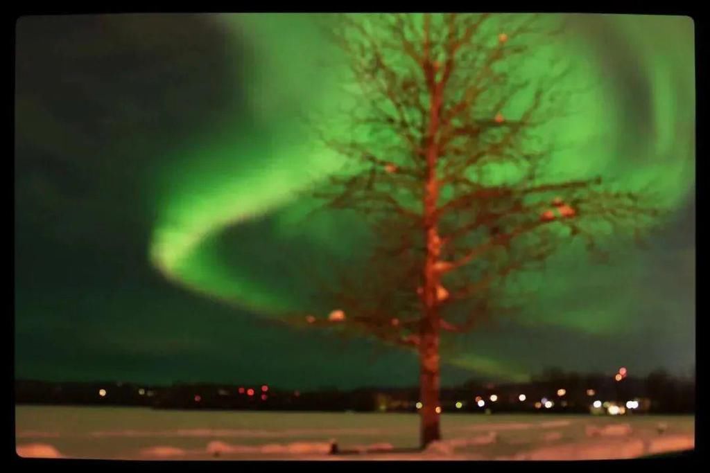 极光：美丽外表下的“灾难”