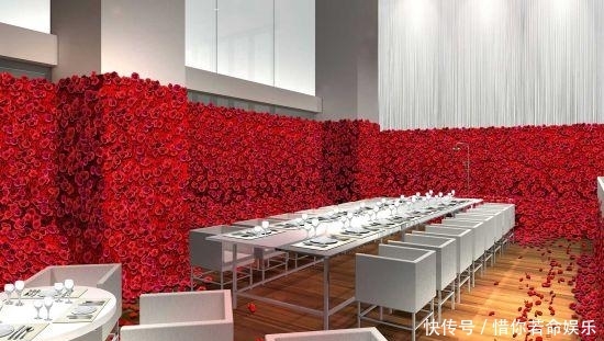 东京喰种 限时主题餐厅4万朵蔷薇铺满房间 快资讯