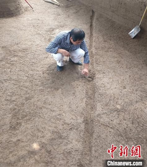 道路！镐京遗址发现西周时期道路等遗迹