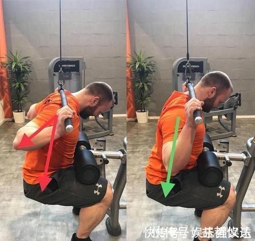 杠铃|一直被质疑,却一直被重视,为什么它让健身人士又爱又恨