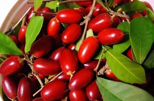 它被称为“神秘果”一斤500元，曾是国宝级珍稀植物，你吃过吗？