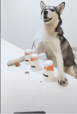 |搞笑GIF: 这要摔傻多少次,才能练成这样的技术呢