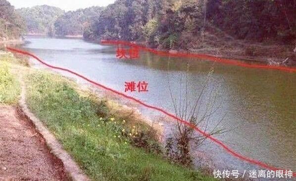 鲫鱼|春天来了,大鲫鱼喜欢藏在这些位置,这些地方下竿一钓一个准!
