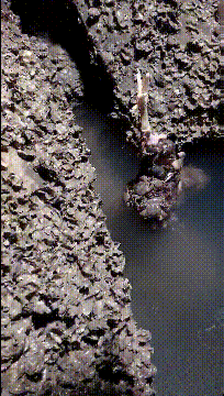 |搞笑GIF:这难道是兵马俑,秦始皇要复活他们吗