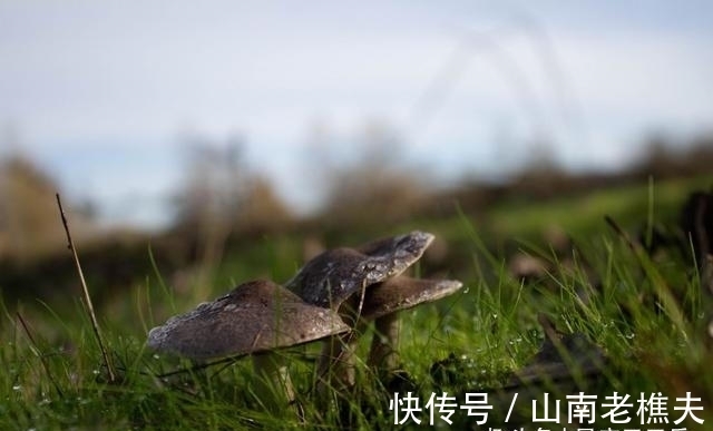 爱上你|下一周，良缘来袭，痴情难离，再度牵手，爱上你真好