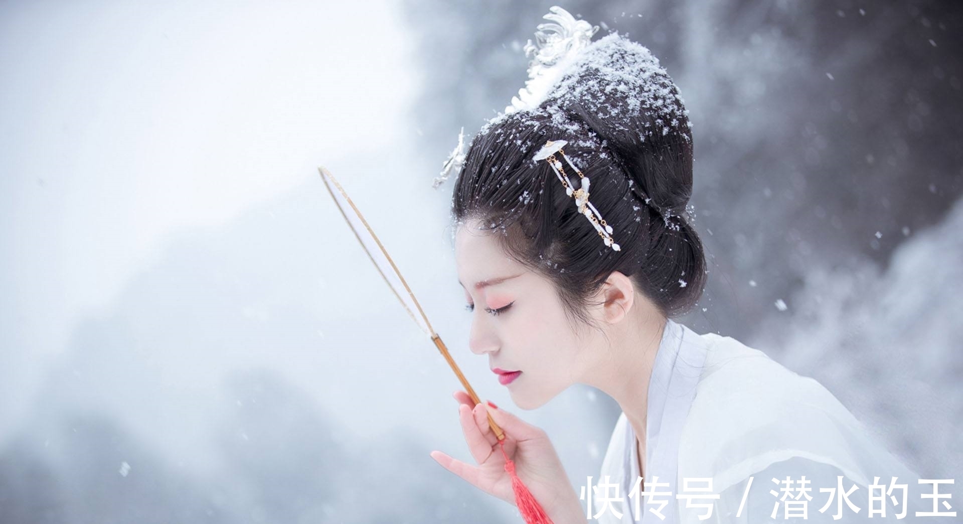 魏相&苏东坡冷门的八首雪诗,读过的都是博学之士