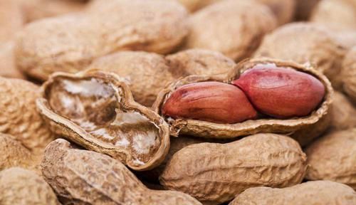 花生|每天吃5颗“生花生”,不到一个月,会收获3个好处,了解一下