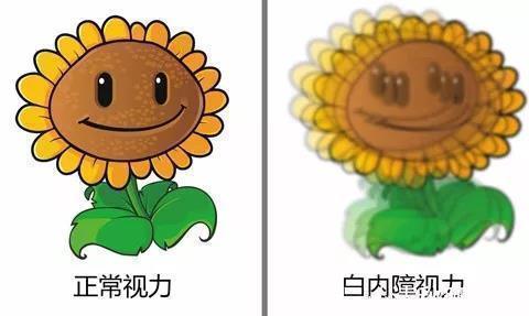 眼球|近视的眼球如同一个吹大的气球,近视度数越高,气球越大,越危险