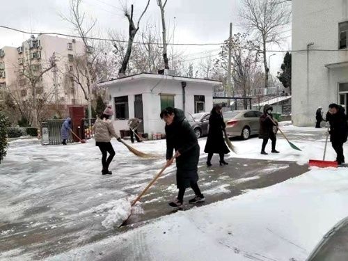 中心|市卫生健康宣教中心积极组织扫雪志愿服务活动