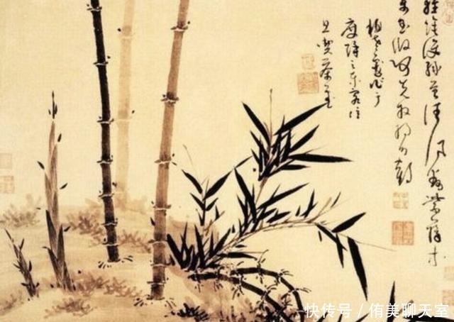 文人|宁可食无肉,不可居无竹:文人为何如此喜欢竹子?