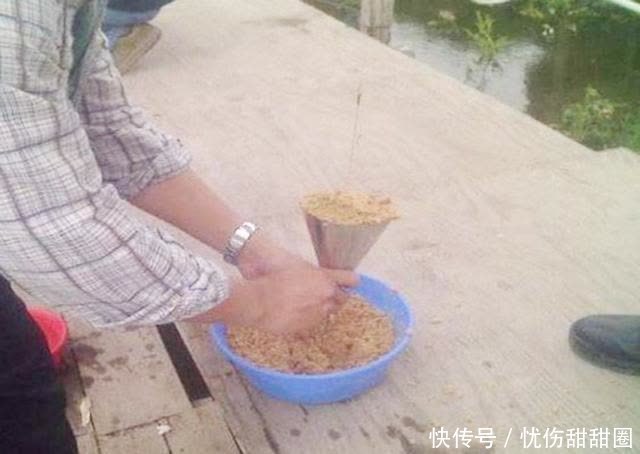 大亏|河边钓鱼请远离新手钓友,不然你会“吃”大亏