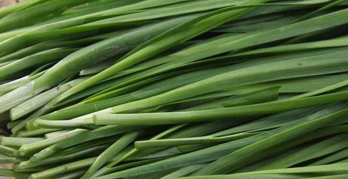 补肾壮腰抗菌消炎,女人常吃皮肤润泽,男人阳气十足