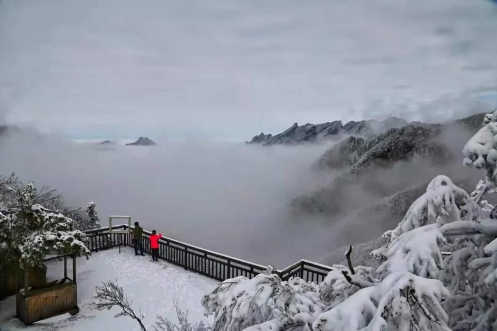 心间|老界岭的美，在眼前，在心间！