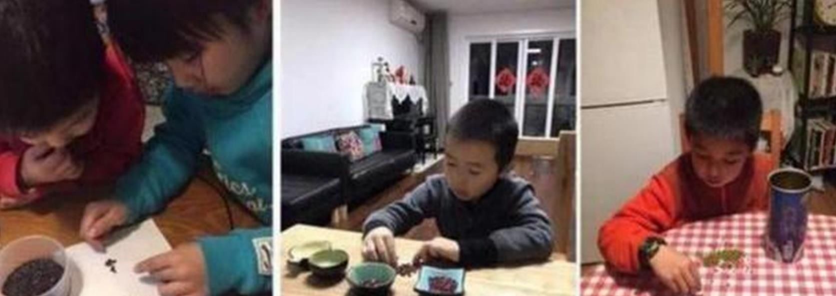 小王|“老师让带1万颗豆”, 宝妈陪娃数到半夜,质问老师反遭“打脸”