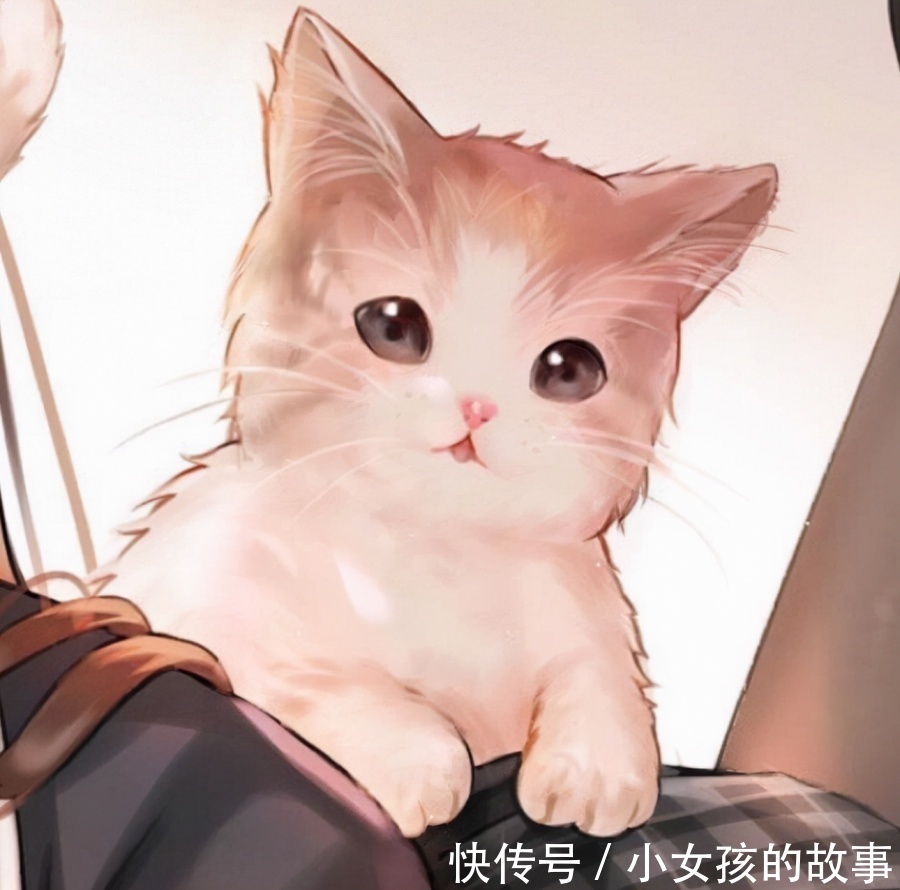 |超级搞笑的『废话文学』语录