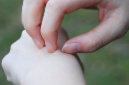 黄芪是很好的补药,但此3类人尽量别吃,不然就