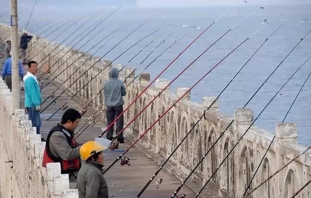 深秋难钓鲫鱼?试试老钓友这一招,专钓大鲫鱼,现在用最合适