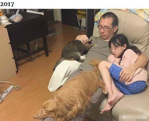 爸爸|爸爸每年抱着女儿拍张照，七张照片惹无数人泪目父爱如山！