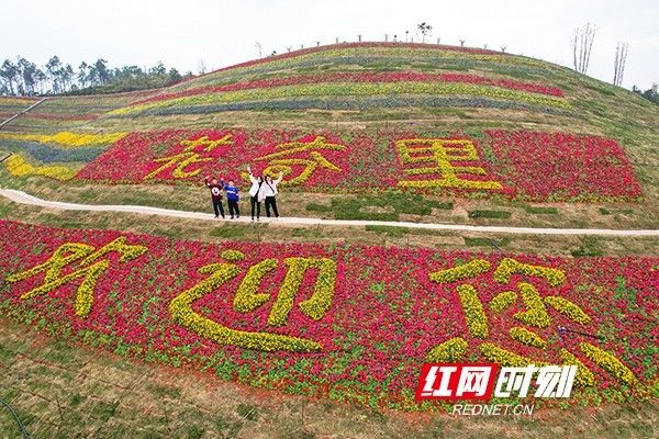 老桩杜鹃|湖南衡东县一网红打卡地花奇里开园