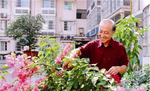 螨虫、细菌最“厌恶”的3种花,赶紧养1盆,烦恼“消除”身体棒