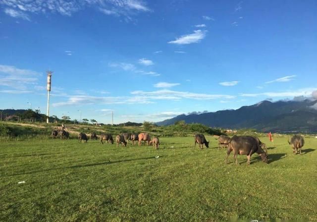 这五组可以一键复制的搭配公式，够用一整个夏天
