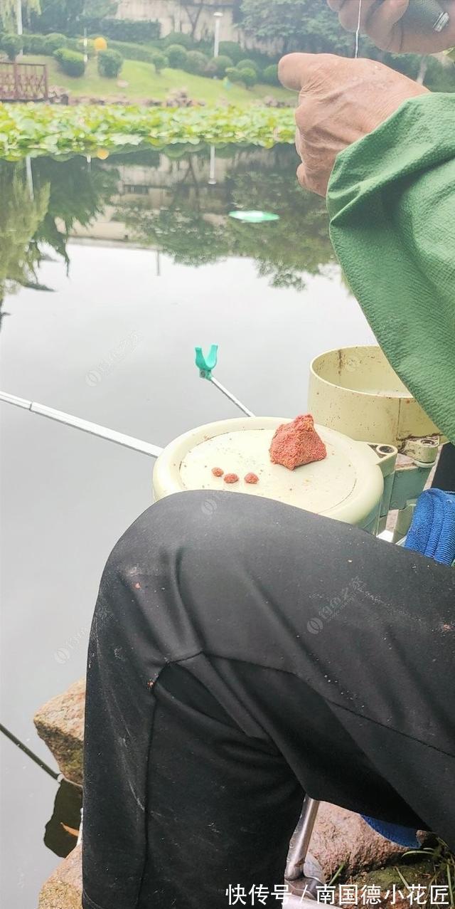 鲫鱼|向高龄钓友请教的“摇三摇”钓法，毫无保留的分享给大家