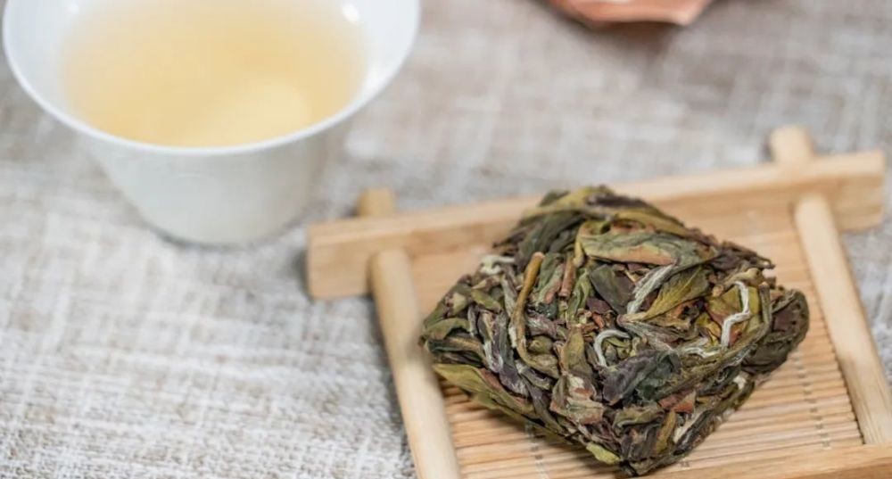 乌龙茶|高山漳平水仙,非遗传承人让你体验“乌龙茶小姐”的风韵