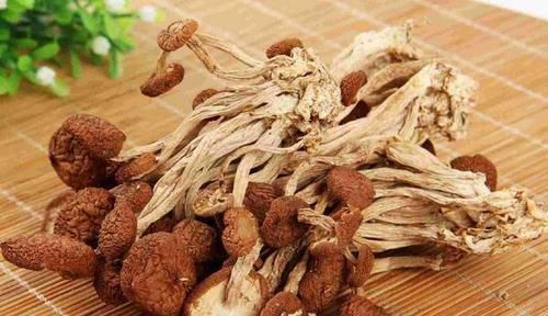 叶酸|天然的“叶酸”找到了,女人每天吃两口,通乳散结,远离乳腺增生