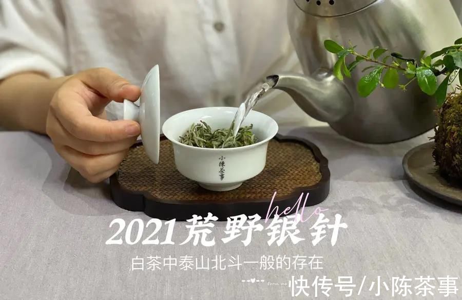 白毫银针$泡茶水温重要吗？80℃、90℃、100℃，谁才是泡白茶的最佳水温？