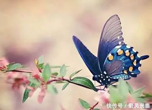 欧阳公|欧阳修最经典的一首词,开篇就是名句,李清照也赞不绝口