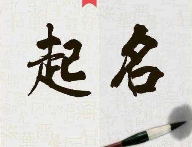 青莲居士|爸妈都姓“宫”,奶奶给三胞胎取了个名字,民警竖大拇指:霸气