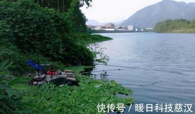 大板|夏季涨水钓浅滩,掌握这3个方法,钓到大板鲫不再难